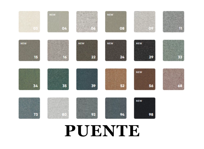 PUENTE.png