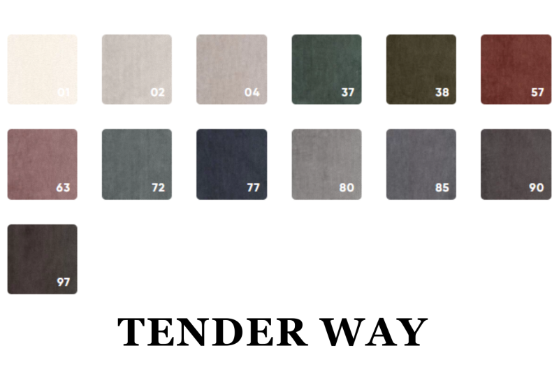 TENDER WAY.png