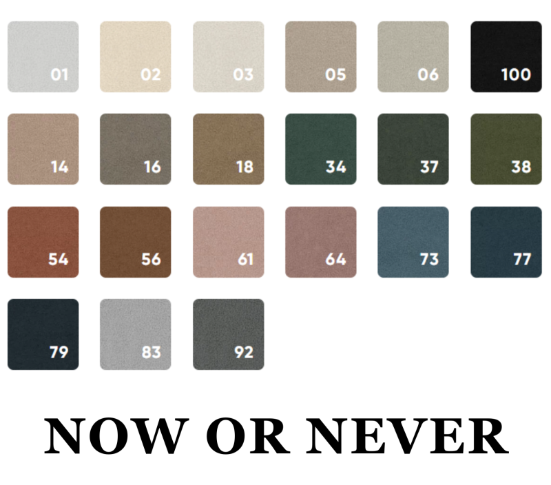 NOW OR NEVER.png