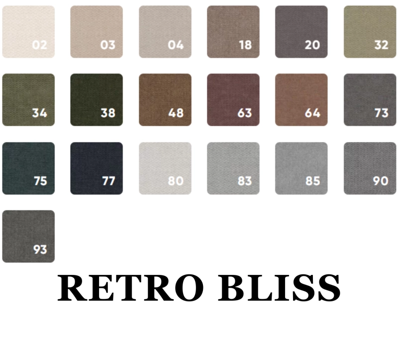 RETRO BLISS.png